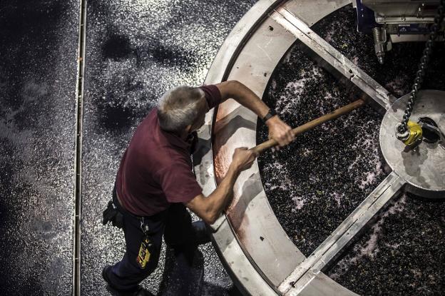 Trabajo en bodega con los vinos del 2017. :: C. R./