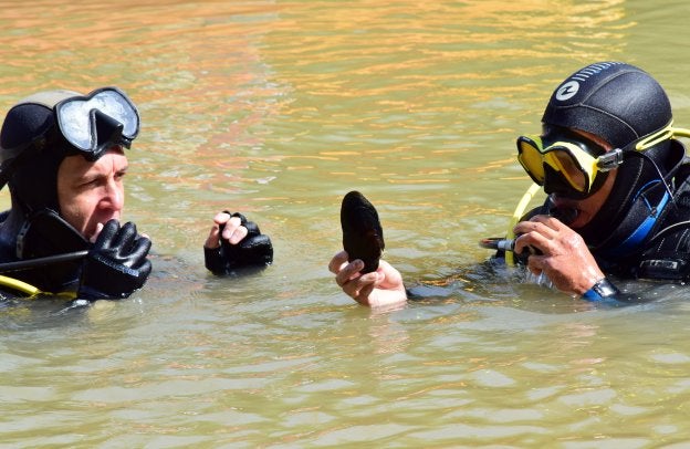 Dos buzos, sumergidos en el río Ebro a la altura de Recajo (Agoncillo), muestran una náyade encontrada en el fondo. :: MIGUEL HERREROS