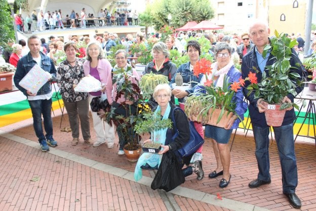 Los ganadores del concurso de macetas y plantas. :: D.M.A.