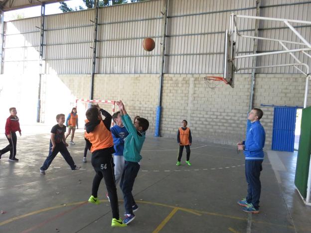Los escolares conocieron las normas básicas del baloncesto. :: E.P./
