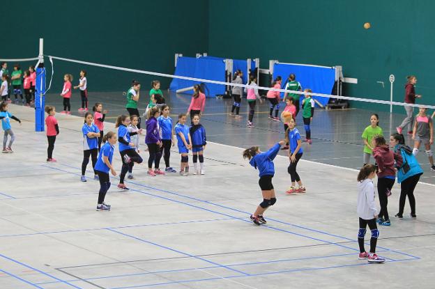 Concentración de minivoley en el polideportivo Titín III. :: Fernando Díaz/