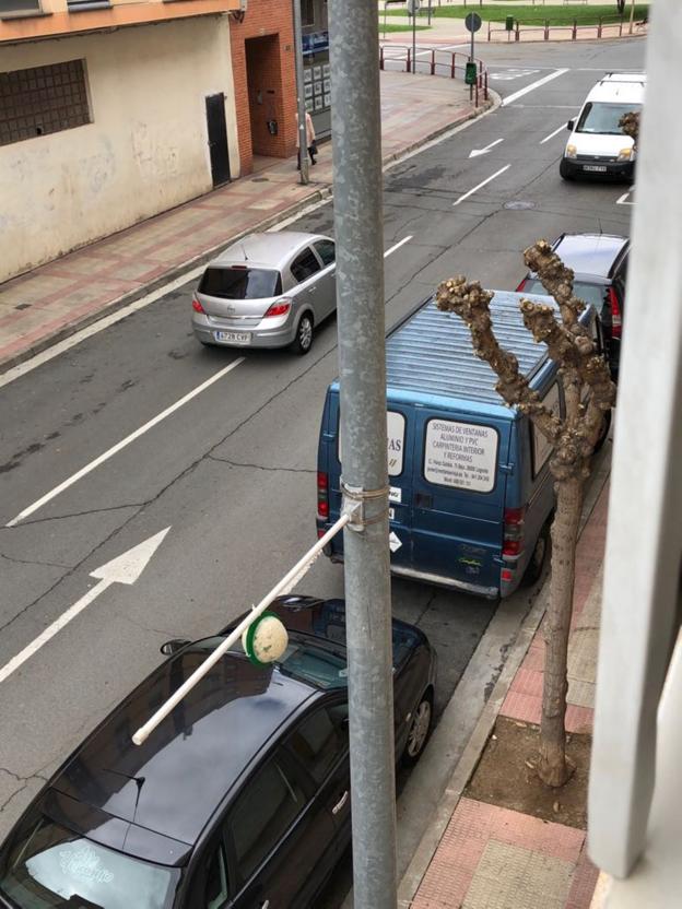 Esfera de musgo en una de las farolas de Logroño. :: /T. BLANCO