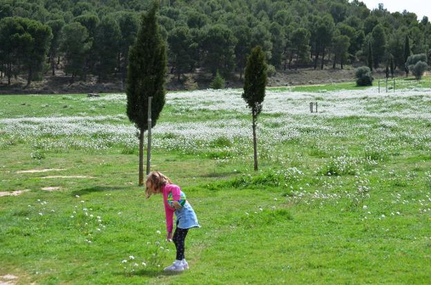 Una niña juega en la explanada junto al embalse del Perdiguero de Calahorra, en la que se plantea actuar. :: i. á. /