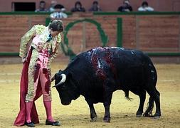 El valenciano Román, en una de las novilladas del año pasado. :: S.T./
