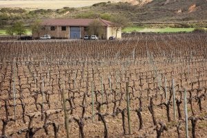 Finca de Ausejo, cuya cartilla se habría intentado utilizar para amparar uva no reconocida por la DOC Rioja. :: J. RODRÍGUEZ/