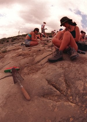 Réplicas de dos dinosaurios en Enciso (abajo a la izquierda) y campamento paleoicnológico en el yacimiento de La Era del Peladillo, en Igea. ::
JUSTO RODRÍGUEZ/E. DEL RÍO/