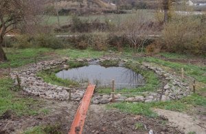 Charca para anfibios, uno de los proyectos de Ciudad de Libia. :: J.A./