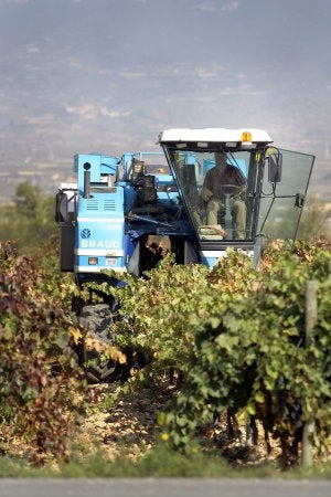 Vendimia mecánica en una finca de Rioja. ::
J. RODRÍGUEZ/