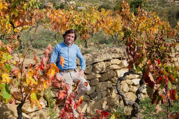 Telmo Rodríguez en el viñedo Las Beatas, de Labastida. /Andrea Aragón