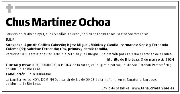 Chus Martínez Ochoa