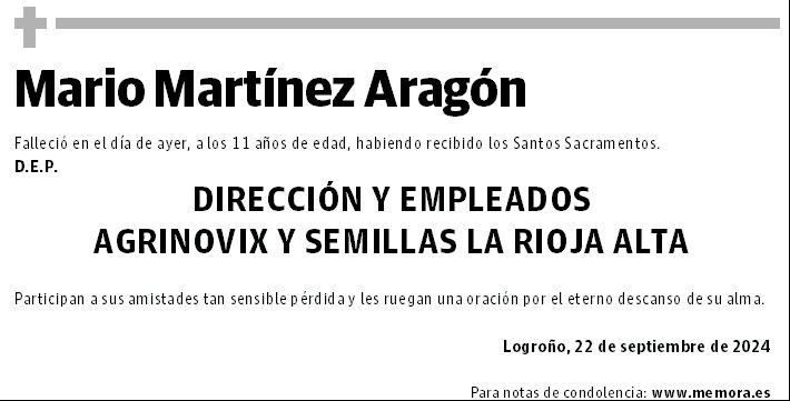 Mario Martínez Aragón