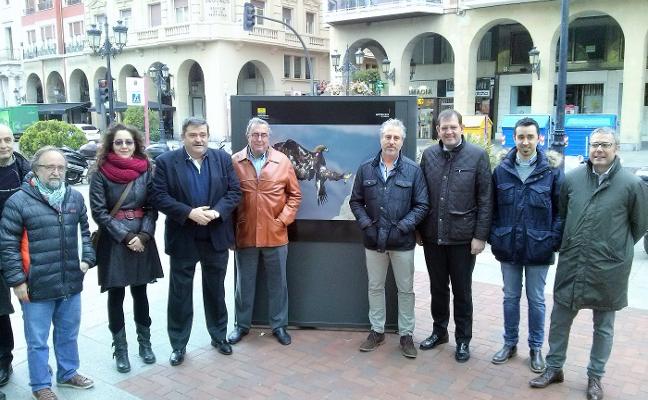 Algunas de las obras que se exponen en el paseo de El Espolón. Abajo, a la derecha, autoridades y fotógrafos junto a la obra galardonada con el primer premio. :: juan marín D.M.A./y