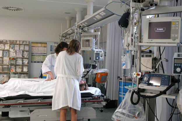 San pedro logrono hospital jefe traumatologia