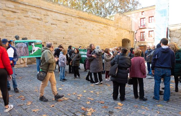 Defensores de la Ley de Protección Animal de La Rioja celebran su aprobación ante el Parlamento de La Rioja el 22 de noviembre del pasado año. /Sonia Tercero