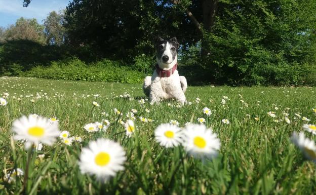 Kenia. /Diego MarÃ­n A.