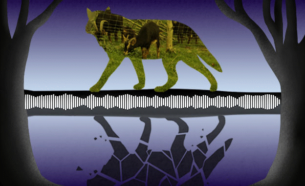 El lobo a la puerta de casa - Vimarsana News