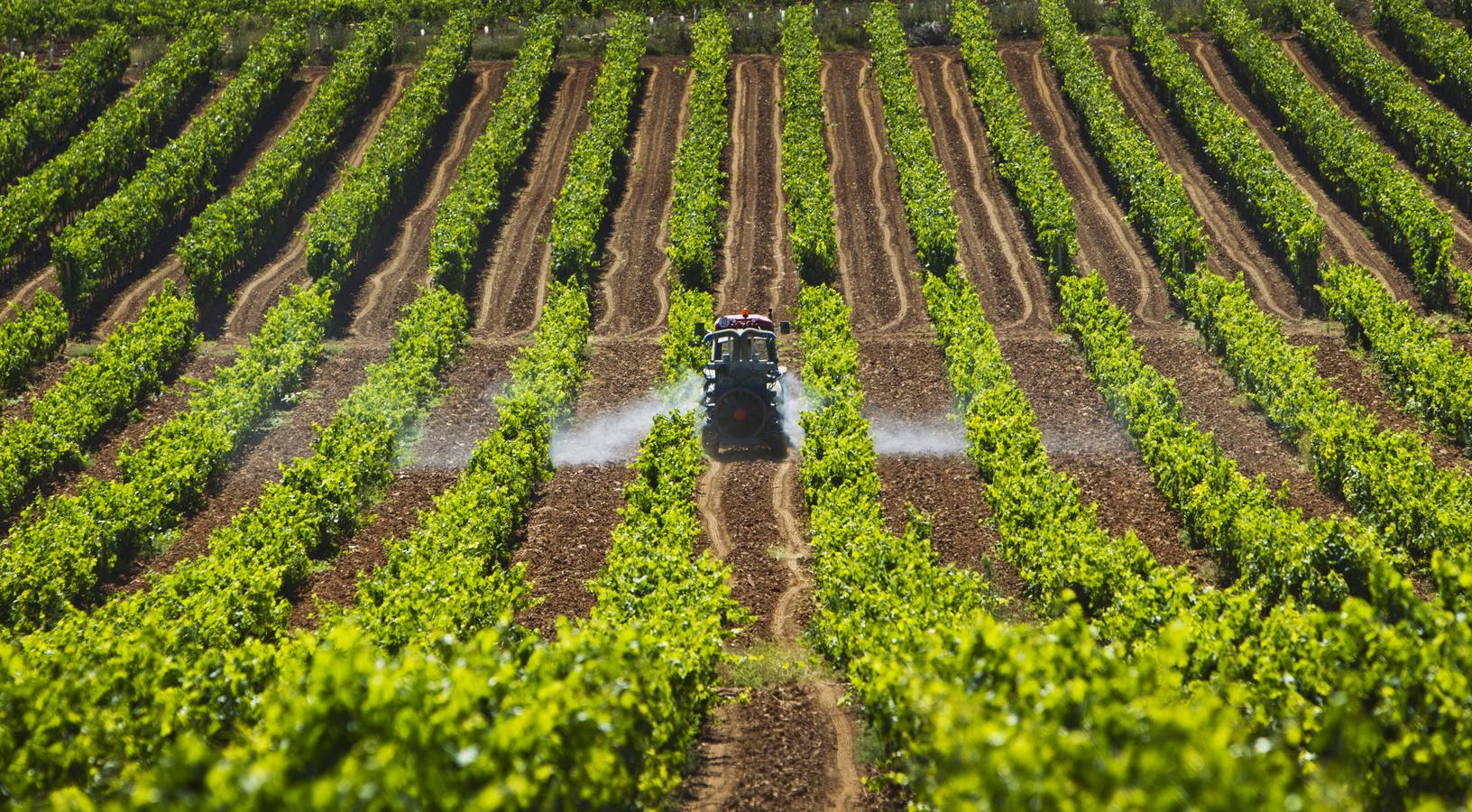 La Agricultura Hace Bajar El Paro En La Rioja En Agosto La Rioja